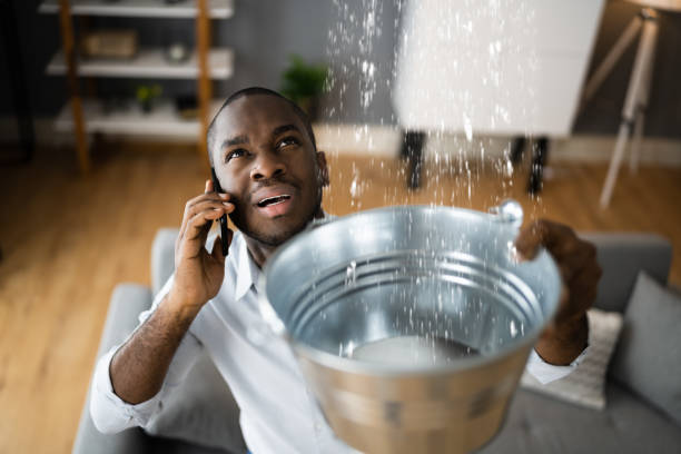 Best Sewage cleanup and water damage restoration  in St Johns, MI
