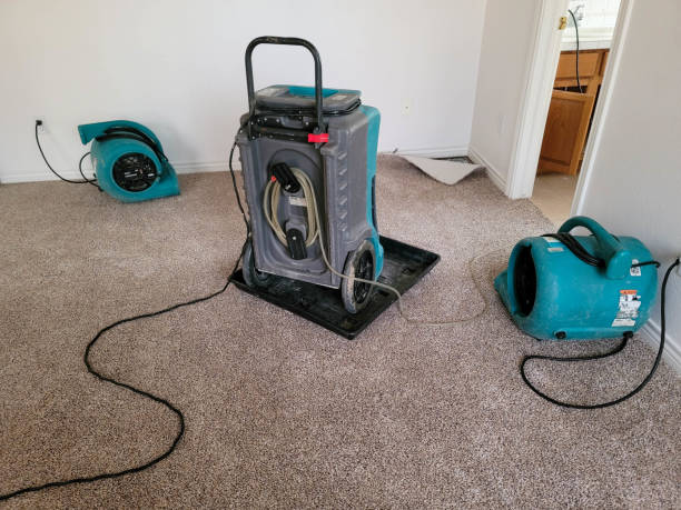 Best Flooded house restoration  in St Johns, MI