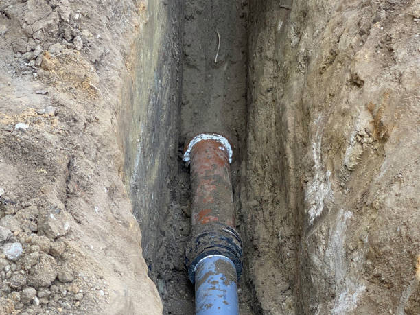 Best 24/7 water damage repair  in St Johns, MI