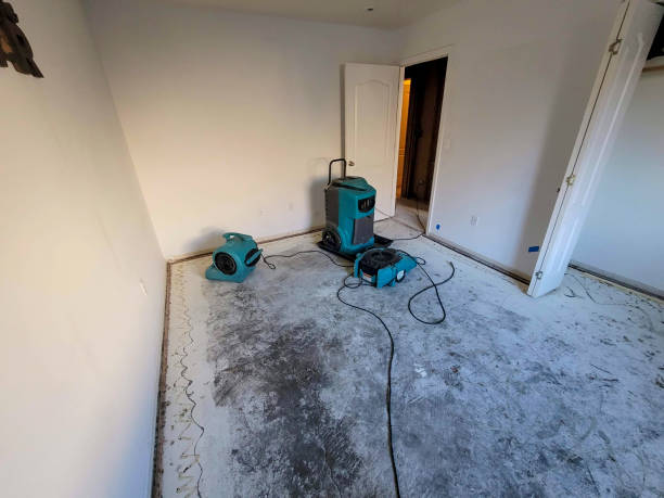 Best Water damage restoration near me  in St Johns, MI