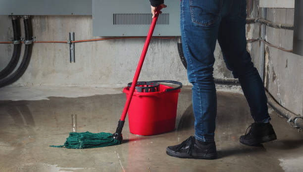Best Local water damage restoration  in St Johns, MI