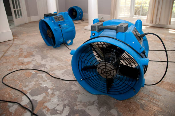 Best Flood restoration services  in St Johns, MI