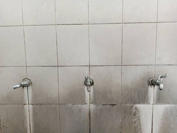 Best Carpet water damage restoration  in St Johns, MI