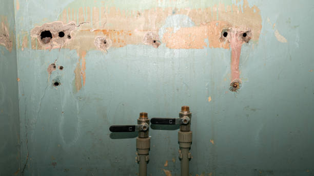 Best Fire Damage Restoration  in St Johns, MI